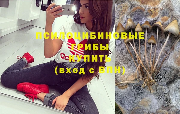 ECSTASY Куйбышев