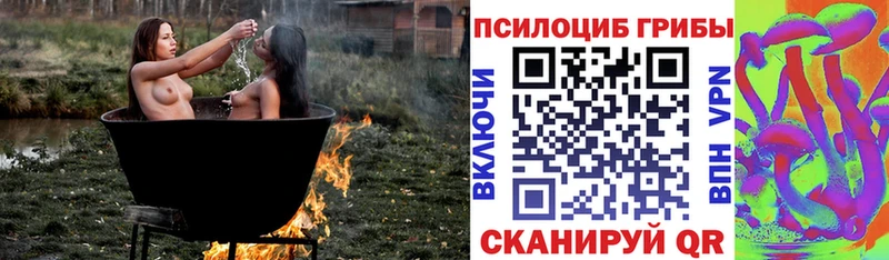площадка формула  OMG ONION  Черкесск  Галлюциногенные грибы ЛСД 