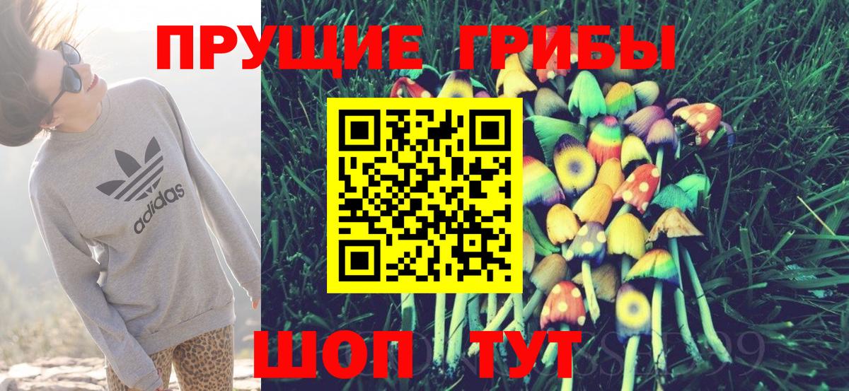 Галлюциногенные грибы Cubensis Черкесск